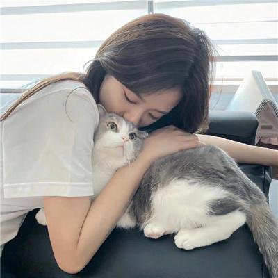 人狗对对碰
